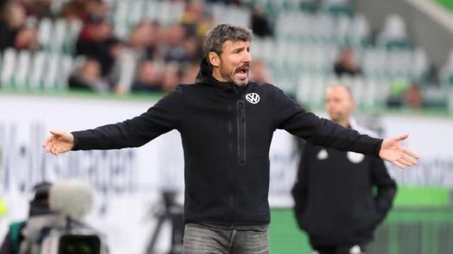 团队层面 团队层面